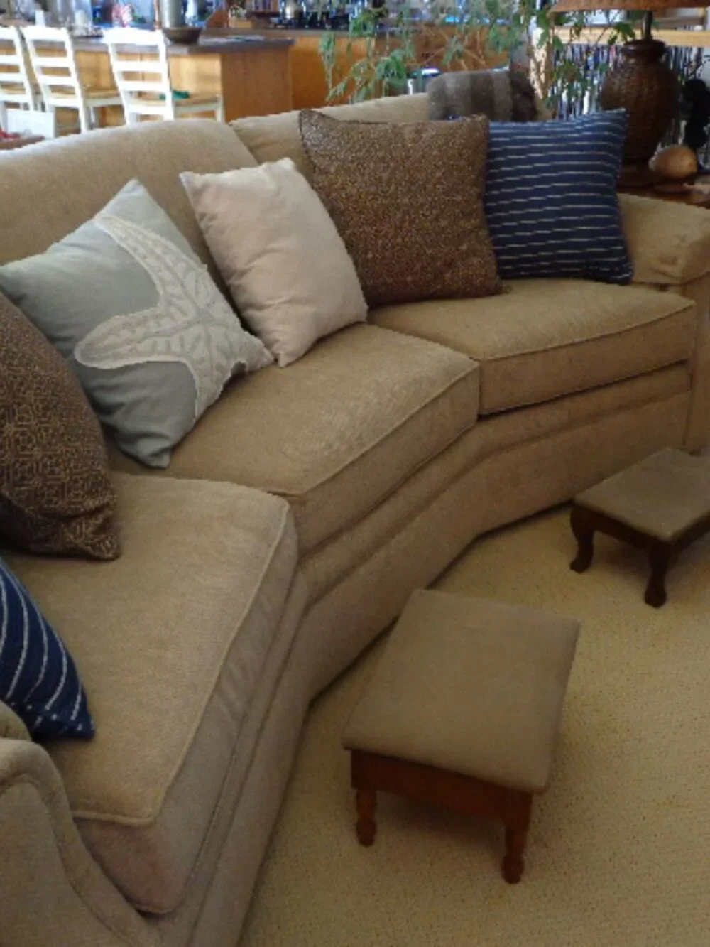 Set of 2 Accent Pillows 19